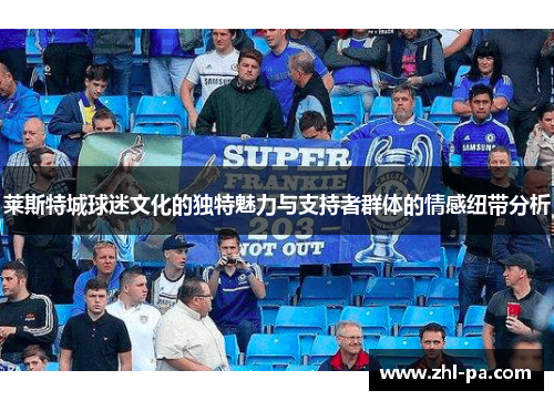 莱斯特城球迷文化的独特魅力与支持者群体的情感纽带分析 莱斯特城球迷文化的独特魅力与支持者群体的情感纽带分析